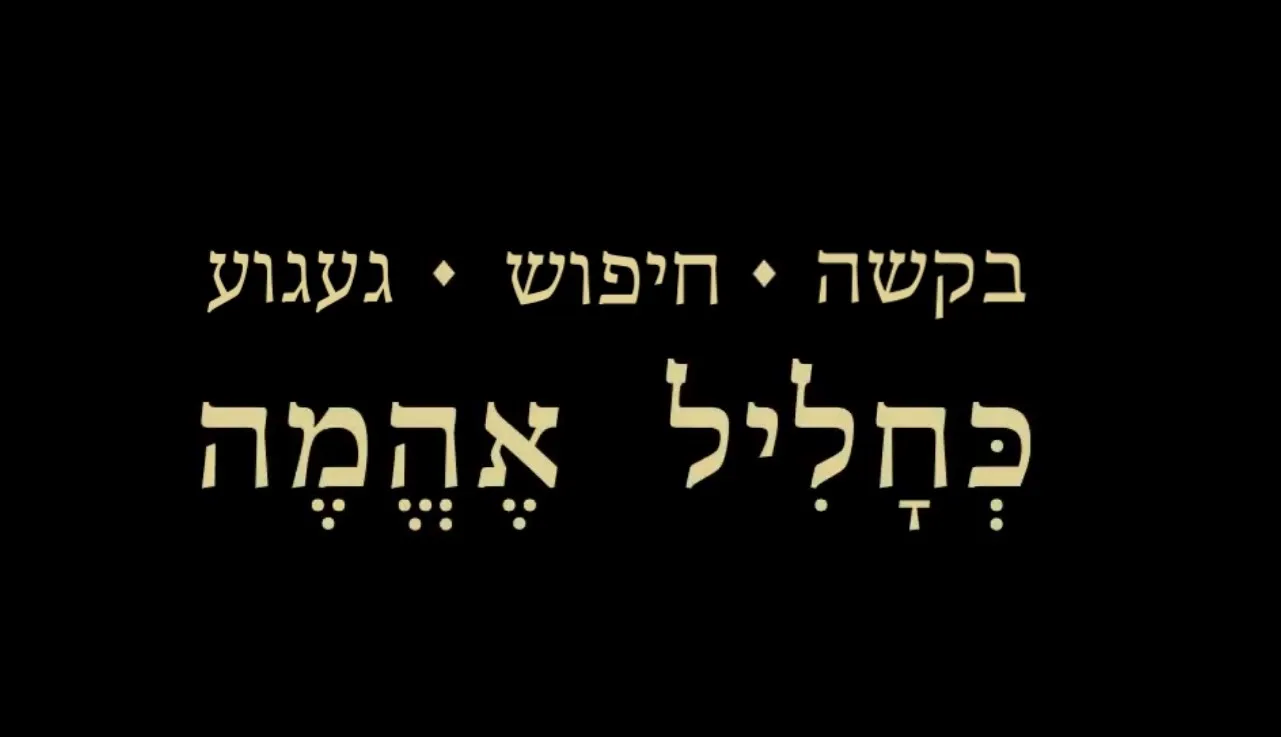 מיכל סבג